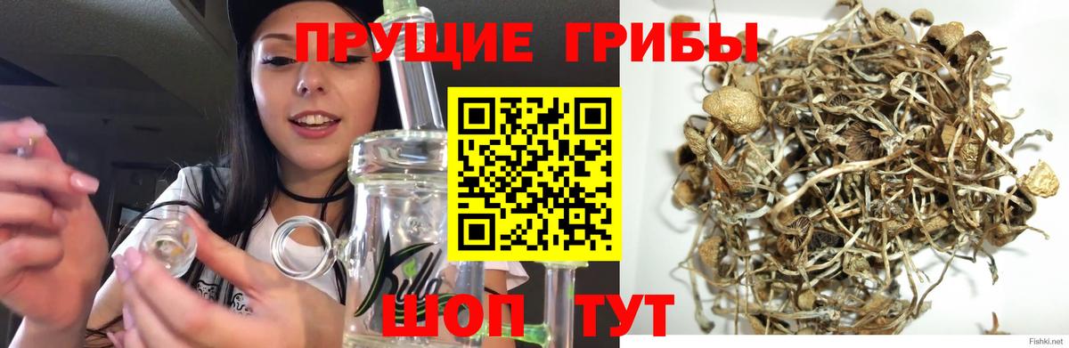 где можно купить   Галлюциногенные грибы ЛСД  Вход с VPN  Галлюциногенные грибы мухоморы  Озёры 